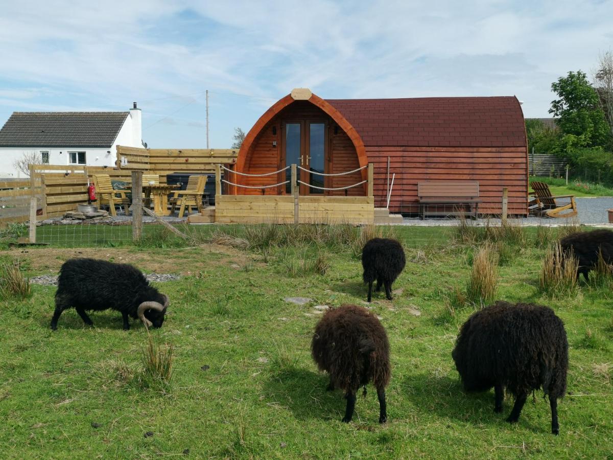 Achmeney Glamping Pod Larger Than Average Pod Halkirk Esterno foto