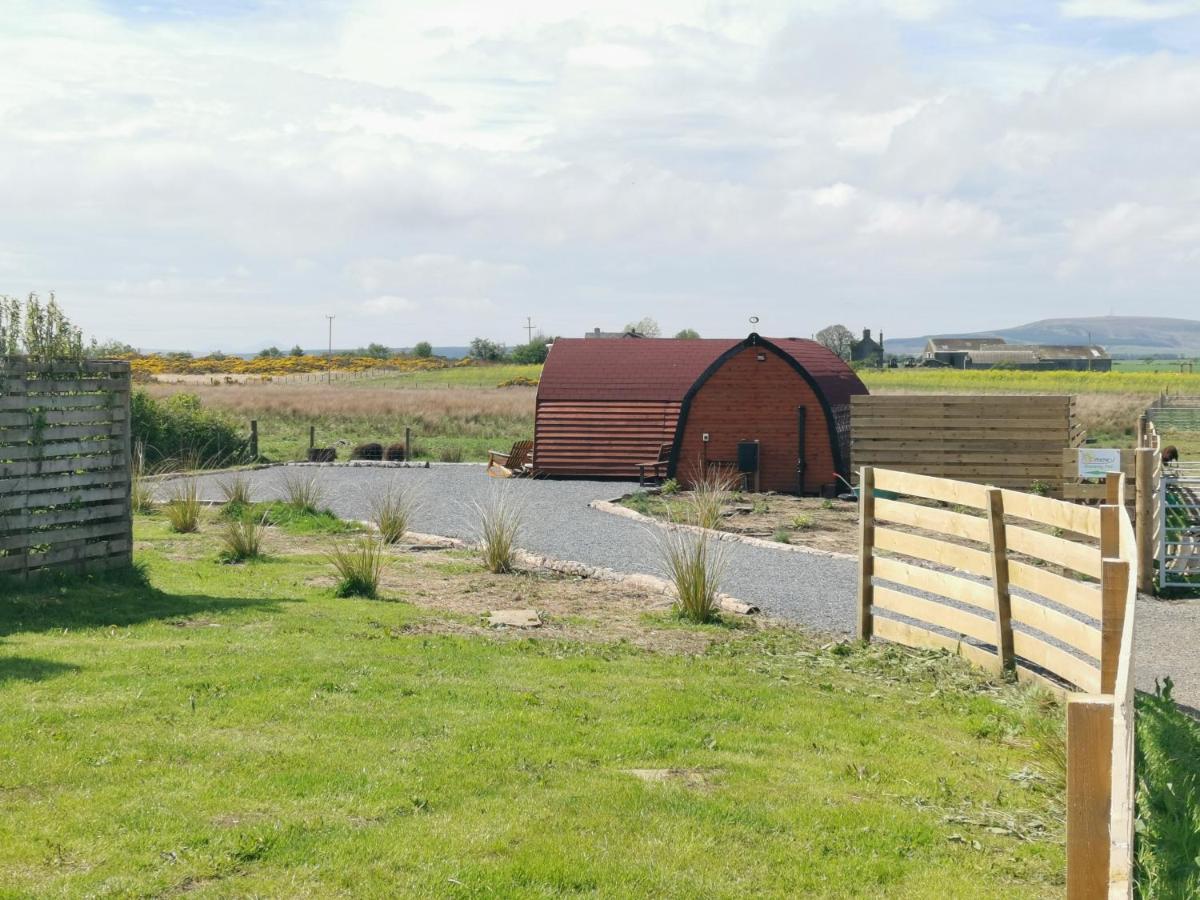 Achmeney Glamping Pod Larger Than Average Pod Halkirk Esterno foto